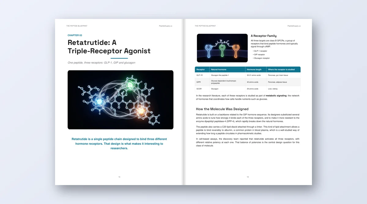 The Peptide Blueprint open book showing peptide research content